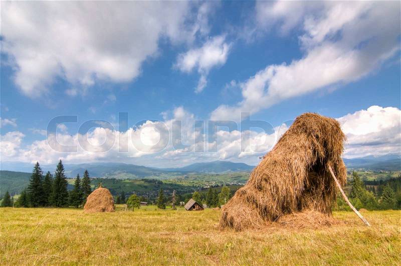 Agriculture and tourism in the mountains of Ukraine, stock photo