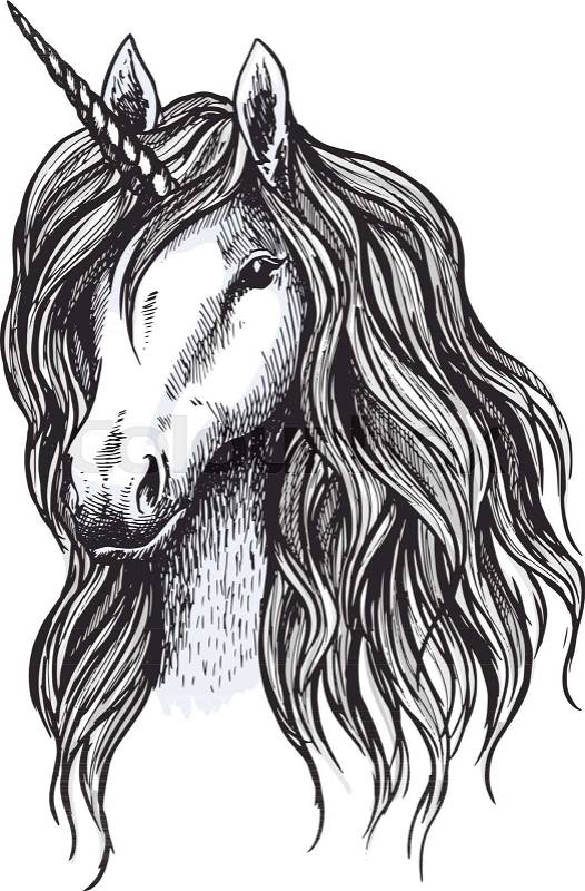 Unicorn horse sketch of magic animal with horn. Head of mythical unicorn or fairy horse with wavy mane. Mythology and fairytale hero for tattoo and t-shirt print ..., vector