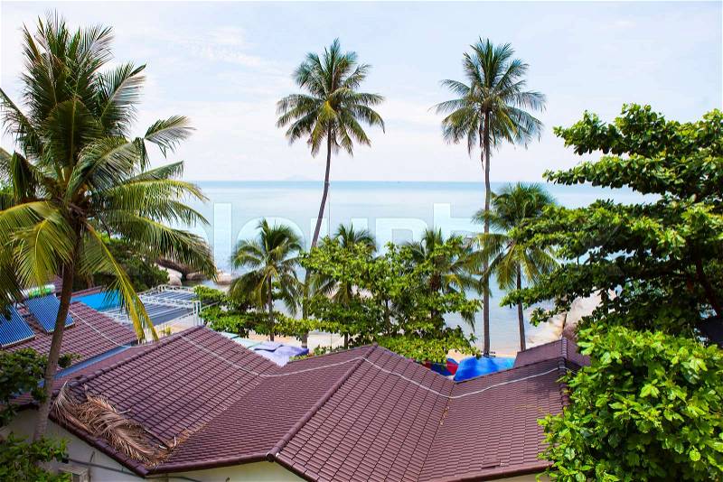 Coconut tree at coconut beach on Son island, Kien Giang, Vietnam. Near Phu Quoc island, stock photo