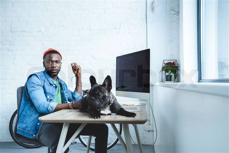French bulldog lying on table with computer by handsome african american man, stock photo