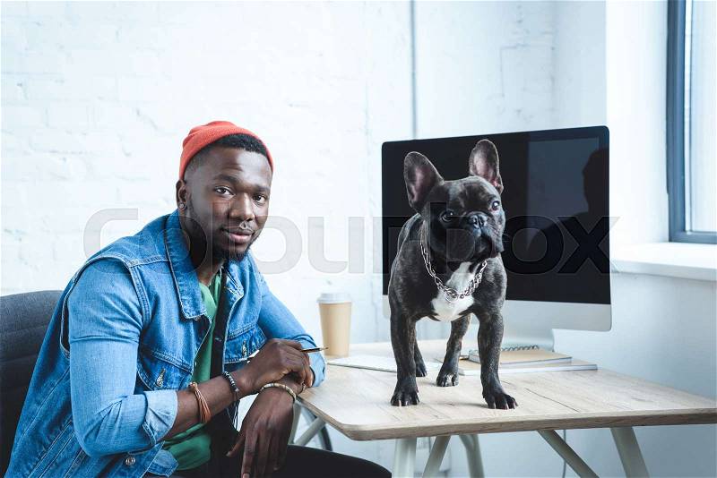 French bulldog standing on table with computer by young man freelancer, stock photo