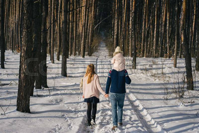 Back view of young family with one child walking together in winter forest, stock photo