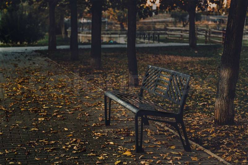 Metal bench in autumn park covered with foliage in rainy day, stock photo