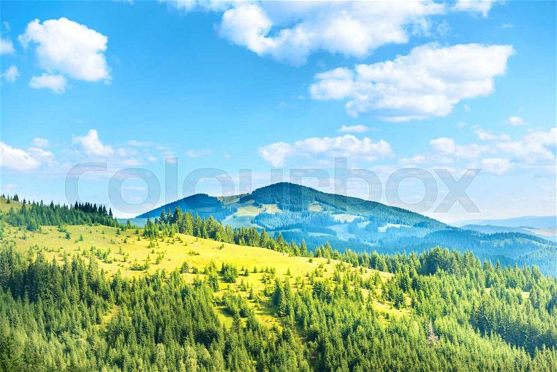 Green sunny hills with forest, blue sky and clouds. Nature landscape, stock photo