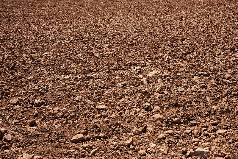 Closeup of a freshly tilled dry land, with many stones, stock photo