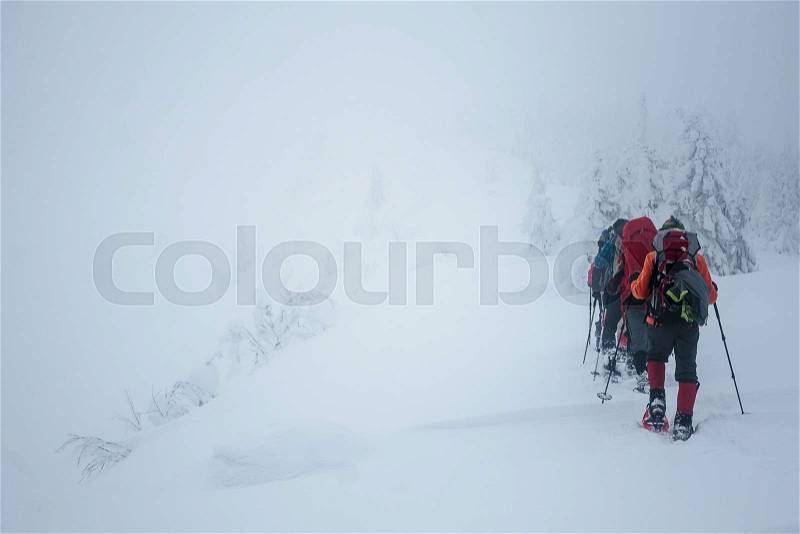 Team of climbers reaching the top of Gorgany mountains, stock photo