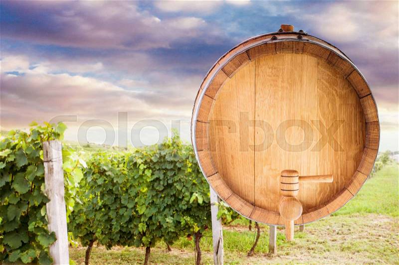 The bottom of a wine barrel over beautiful vineyard sunset, wine mock up, stock photo