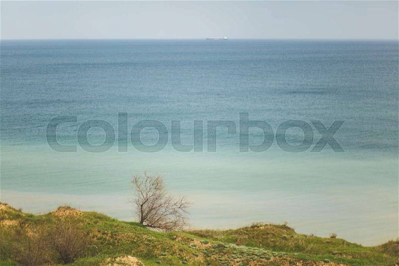 Coastline Green grasses field with trees and bushes near water ocean or sea. Beautiful landscape. Environment, nature concept. Copy space for advertisement. With place for text. Advertising area, stock photo