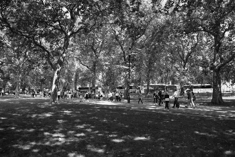 Many people are walking between an alley of trees in Hyde Park in London in England on a sunny day in spring in black and white, stock photo