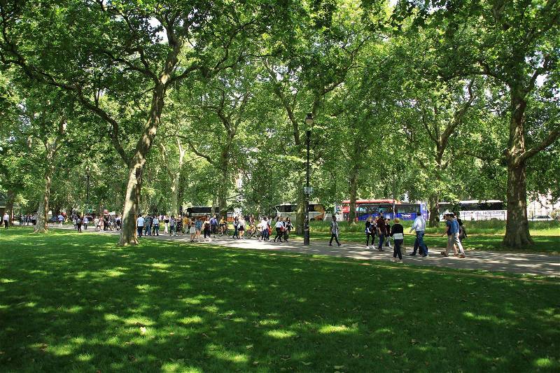 Many people are walking between an alley of trees in Hyde Park in London in England on a sunny day in spring, stock photo
