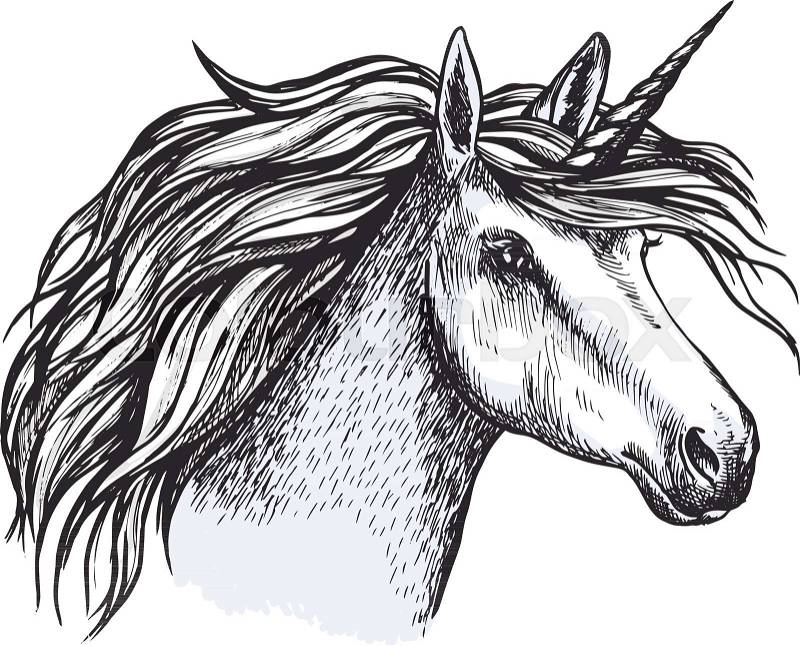 Unicorn head sketch of magic horse with horn. Fairytale or mythical animal with gray fur and curly mane for tattoo, medieval heraldic badge or t-shirt print design, vector