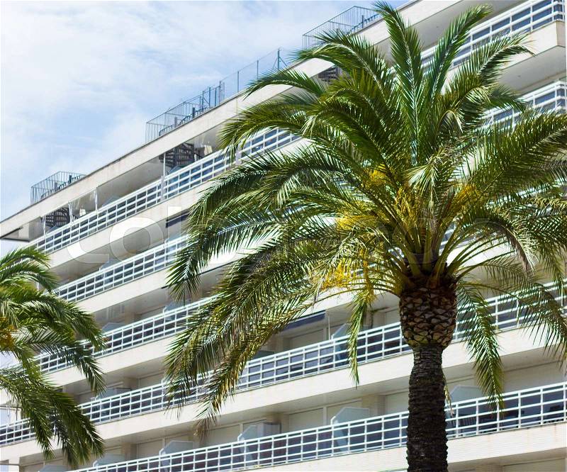 Summer and travel background - palm tree and modern building of hotel or apartments, stock photo