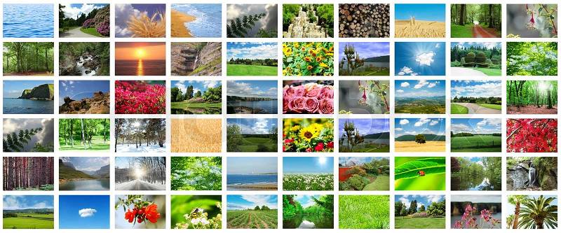Collage of many nature photos, stock photo