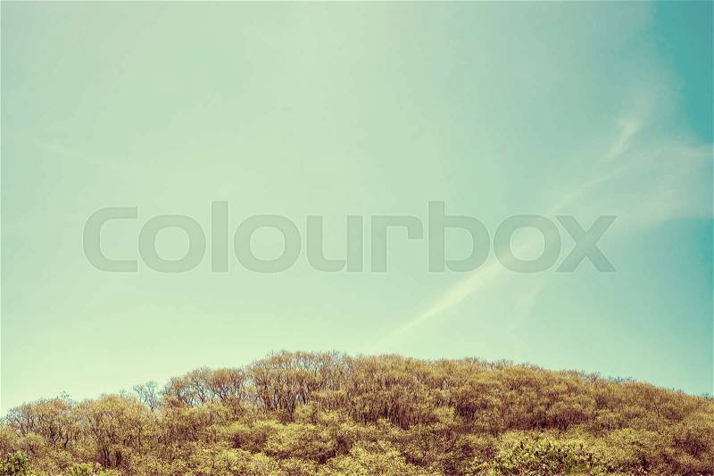 Vintage filter,Top of mountain with clear blue sky,Leave space for your content, stock photo