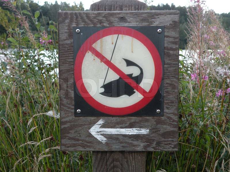 No fishing sign with arrow in green near lake, stock photo