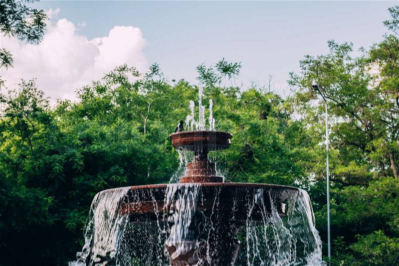 Fountain with splashes and jets of water in a thick green park, bird sitting on the upper tier. Marble architectural element on the background of lush trees and sky, stock photo