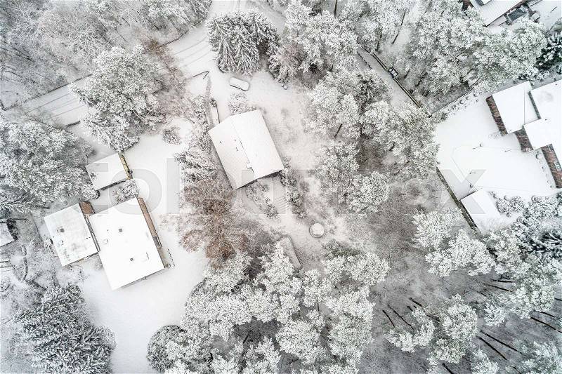 Aerial photo in a vertical perspective, winter landscape with single-family houses in the forest during the winter with a lot of snow in the forest and on the roof, taken with the drone, stock photo