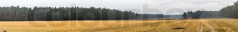 Panorama of a harvested arable land in front of a strip with dense forest stand, with a lot of free space for text, as header for a website, stitched, stock photo