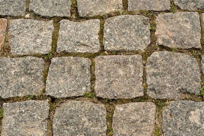 The road for walks in park is paved by a square stone, stock photo