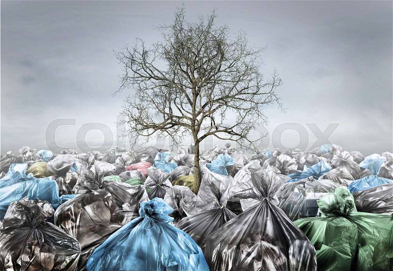 Pollution concept. Dead tree in area full of trash on a gloomy background. Save planet, stock photo