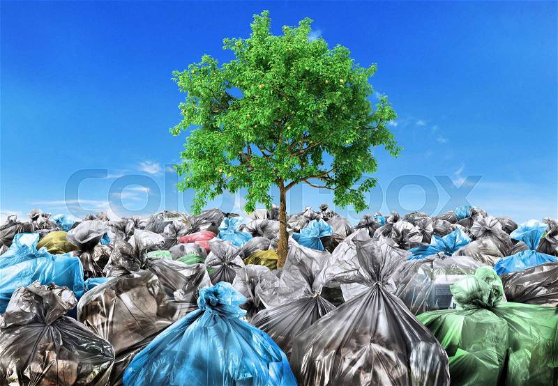 Rebirth concept. A tree grows from a pile of garbage. Recycle, stock photo