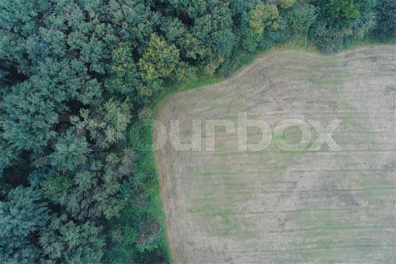 Aerial photograph of an arable land with fresh green at the edge of a forest with dense trees, much free area, with a lot of copy space, stock photo