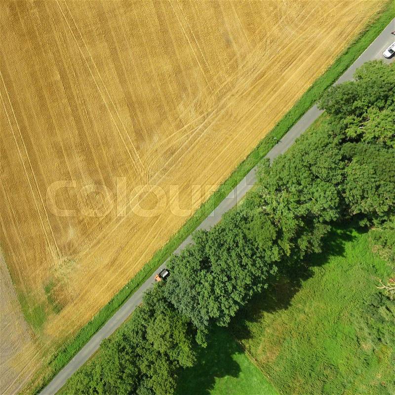 Aerial photo of a green meadow and a harvested wheat field with a path and a row of trees, abstract aerial photo, made with drone, stock photo