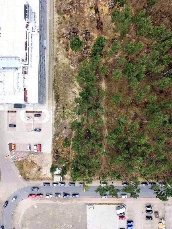 Aerial view from the edge of a factory building next to a light pine forest, vertical view, made with drone, stock photo