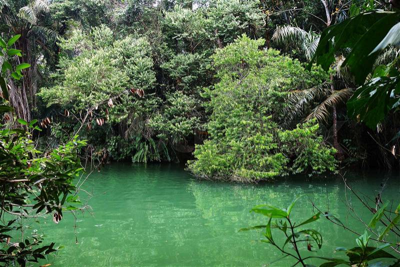 Turquoise tropical lake in mangrove rain forest, stock photo
