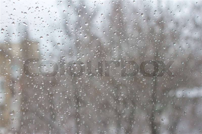 Raindrops on window with tree background. Snow and rain weather. Bubble background. Rain drops on a glass, stock photo