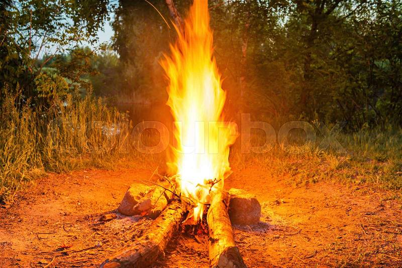 Bonfire near water in forest at night, stock photo