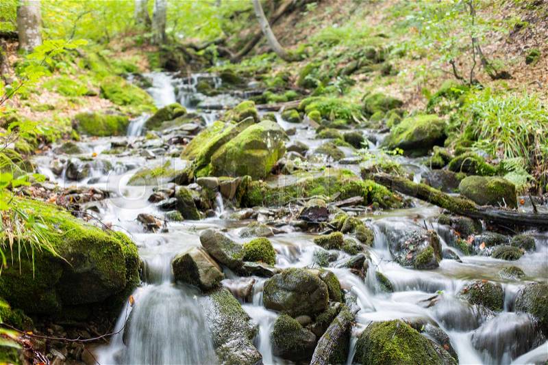 A stream in a mountain forest flows through cascades of stones, stock photo