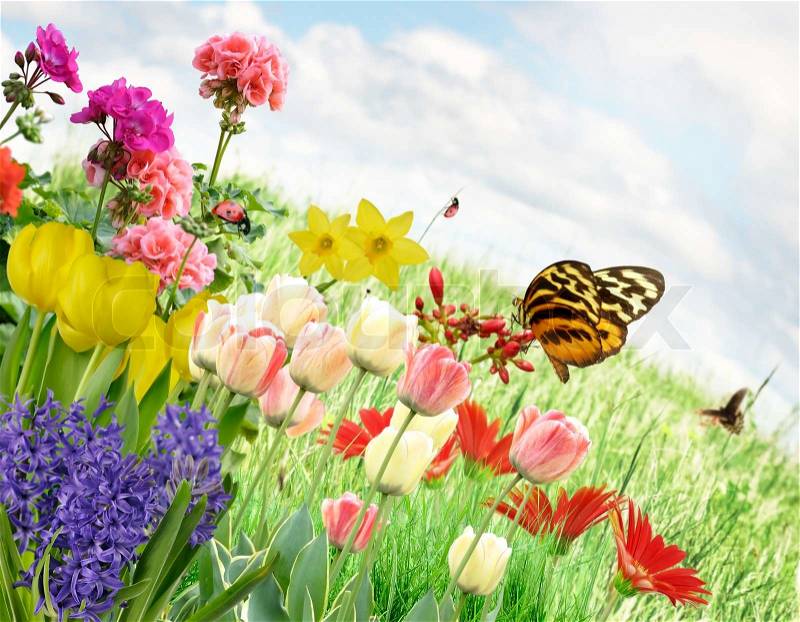 Colorful Spring Flowers And Grass Against A Blue Sky, stock photo