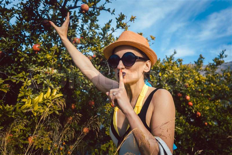 Woman stealing pomegranate fruit from tree looking guilty , stock photo