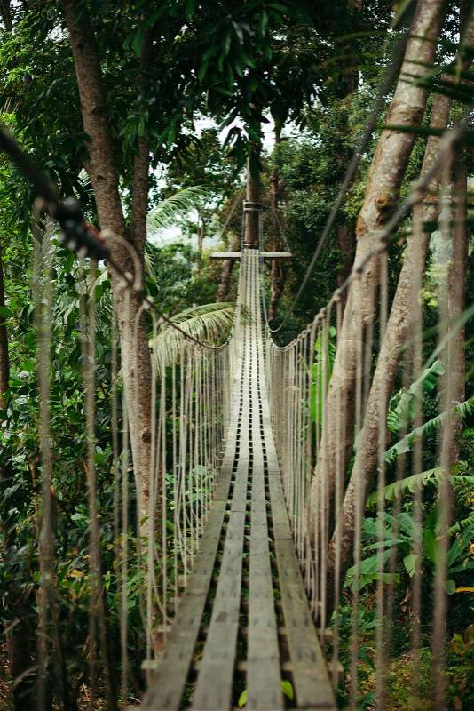 Empty wooden suspension bridge in jungle, stock photo