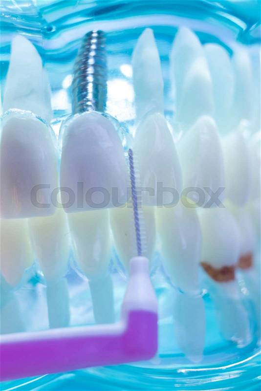 Inter dental teeth cleaning brush healthy floss action between each tooth to remove plaque, stock photo