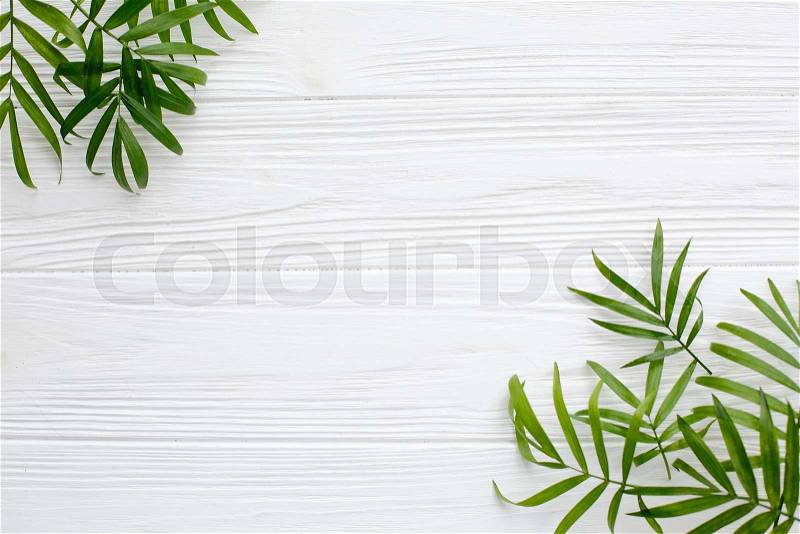 Summer flat lay. fresh palm leaves border on white wooden background with space for text. top view. summer vacation concept. travel and wanderlust, stock photo