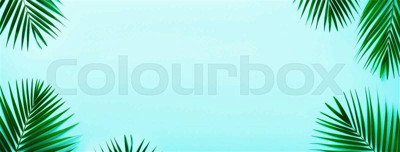 Tropical palm leaves on pastel turquoise background. Minimal summer concept. Creative flat lay with copy space. Top view green leaf on punchy pastel paper. Banner, stock photo