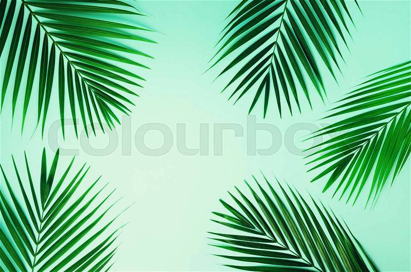 Tropical palm leaves on pastel blue background. Minimal summer concept. Creative flat lay with copy space. Top view green leaf on punchy pastel paper, stock photo