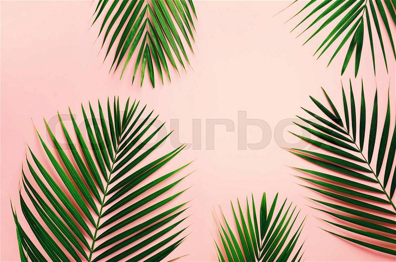 Tropical palm leaves on pastel pink background. Minimal summer concept. Creative flat lay with copy space. Top view green leaf on punchy pastel paper, stock photo