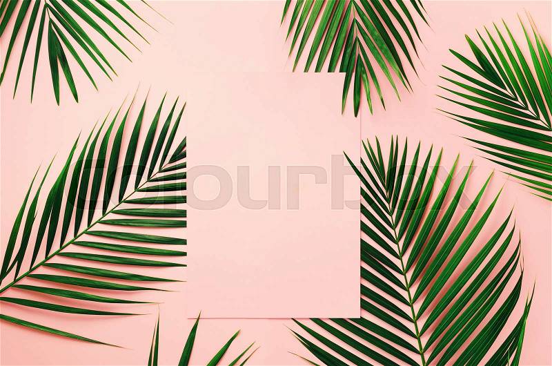 Tropical palm leaves on pastel pink background with paper card note. Minimal summer concept. Creative layout. Top view, flat lay. Green leaf on punchy pastel paper, stock photo