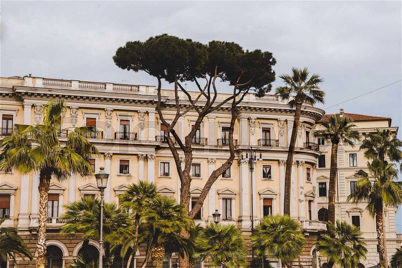 Palm trees and old building in Rome, Italy, stock photo