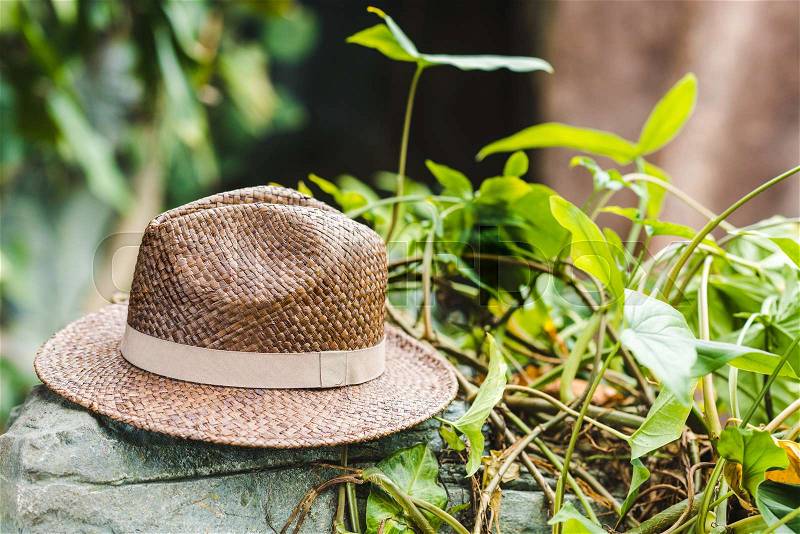 Vintage brown straw hat on rock in jungle, stock photo