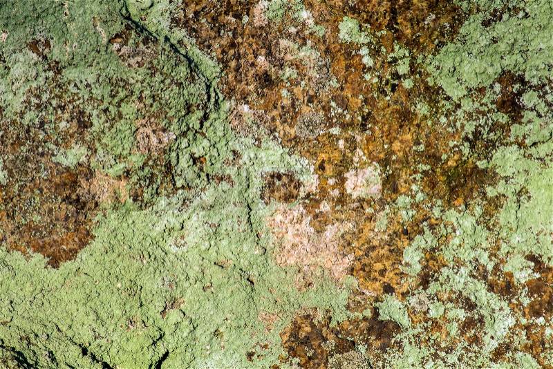 Stone surface coated with green mold. Stone and mold. The green mold grew on a rocky rock, stock photo