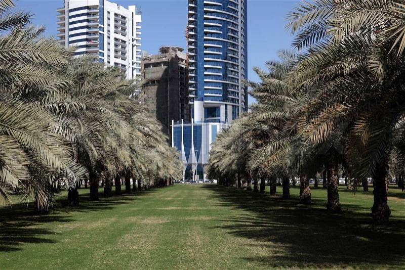 Palm Trees Park in Sharjah City, United Arab Emirates, stock photo