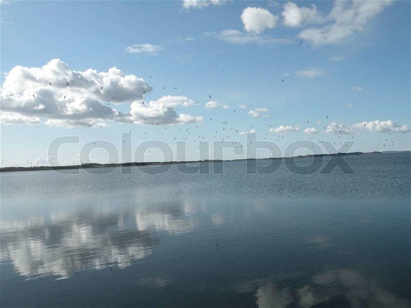 Blank sea with mirroring clouds and blue sky, stock photo