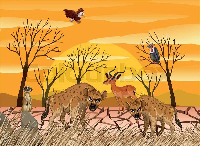 Wild animals living in dry land illustration, vector
