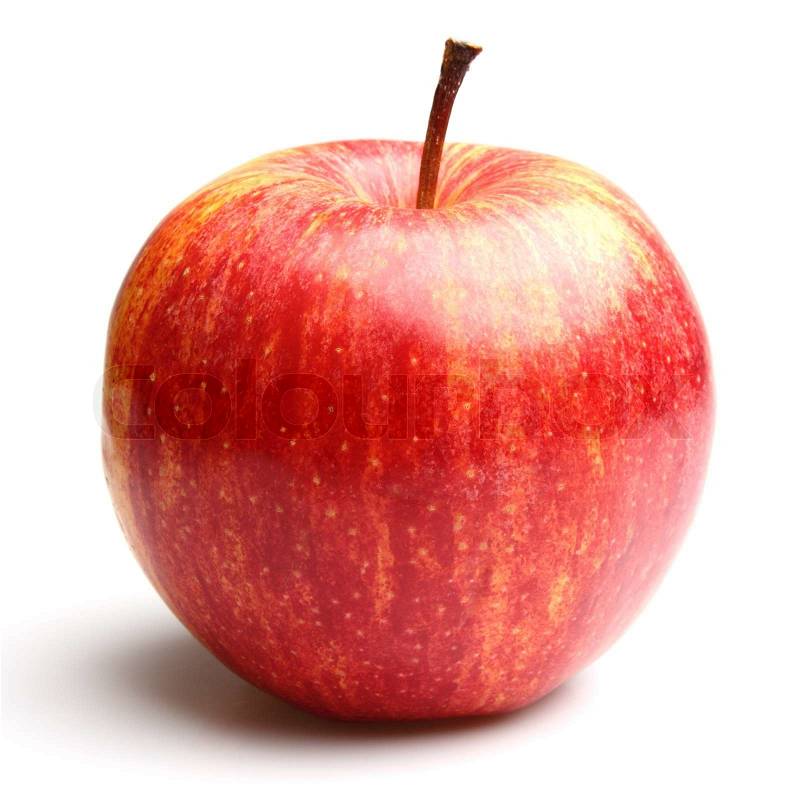 Tolman Sweet Apple - Apple Trees - Stark Bros