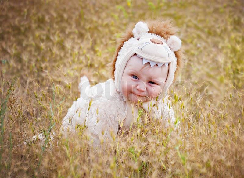 Little boy in lions costume in a meadow, stock photo