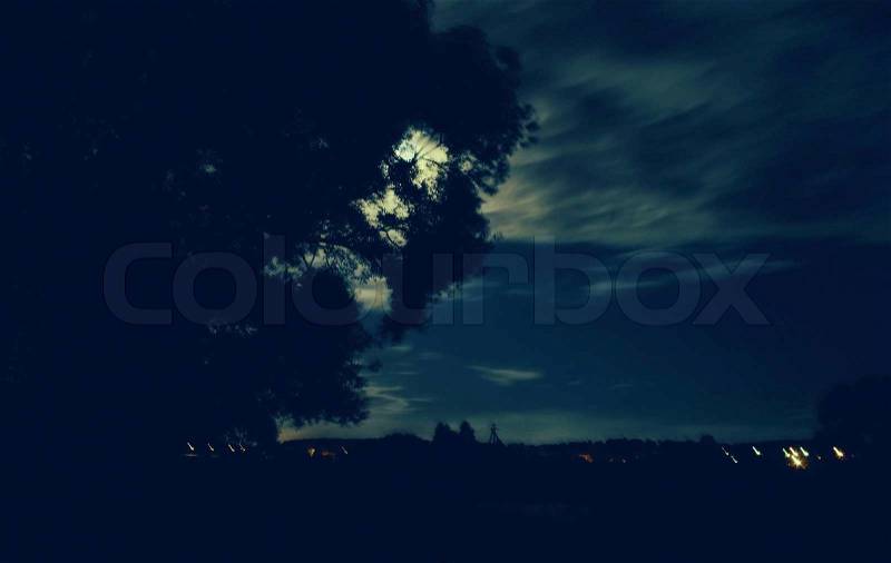Wind penetrates the crown of the tree at night the moon shines, stock photo